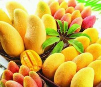 /album/sabores-a-elegir/a5-jpg/