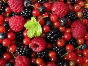 /album/sabores-a-elegir/forest-fruit-jpg/