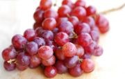 /album/sabores-a-elegir/grapeconcord-jpg/