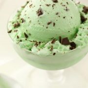 /album/sabores-a-elegir/mintchipicecream-jpg1/